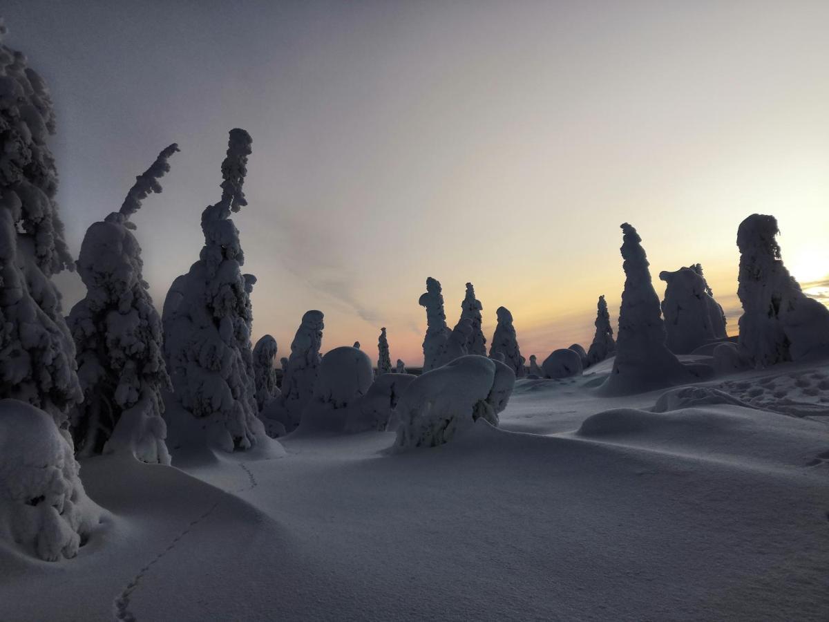 Kelokallas 2 Ruka Buitenkant foto