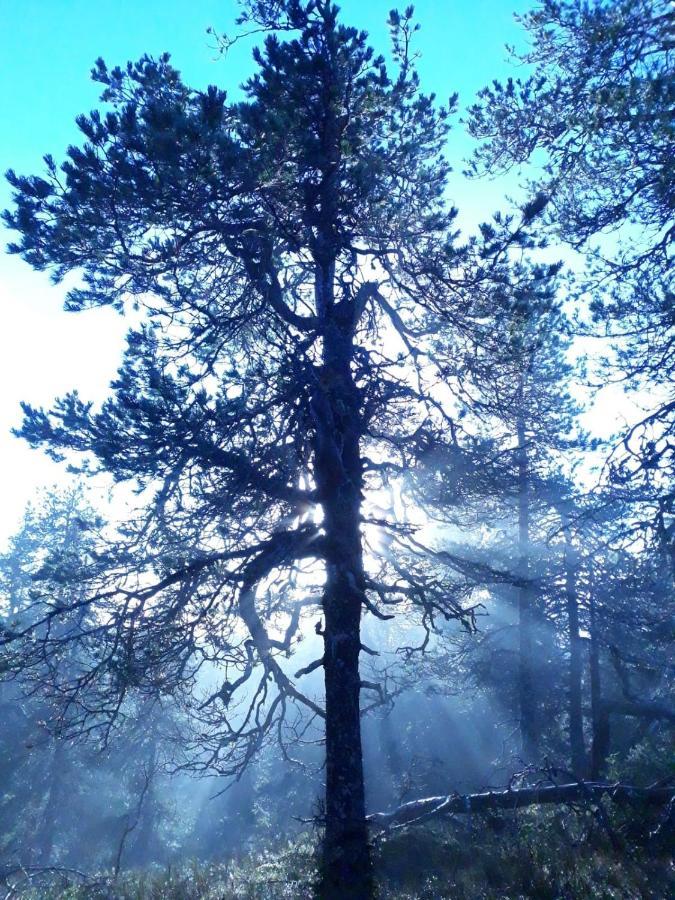 Kelokallas 2 Ruka Buitenkant foto