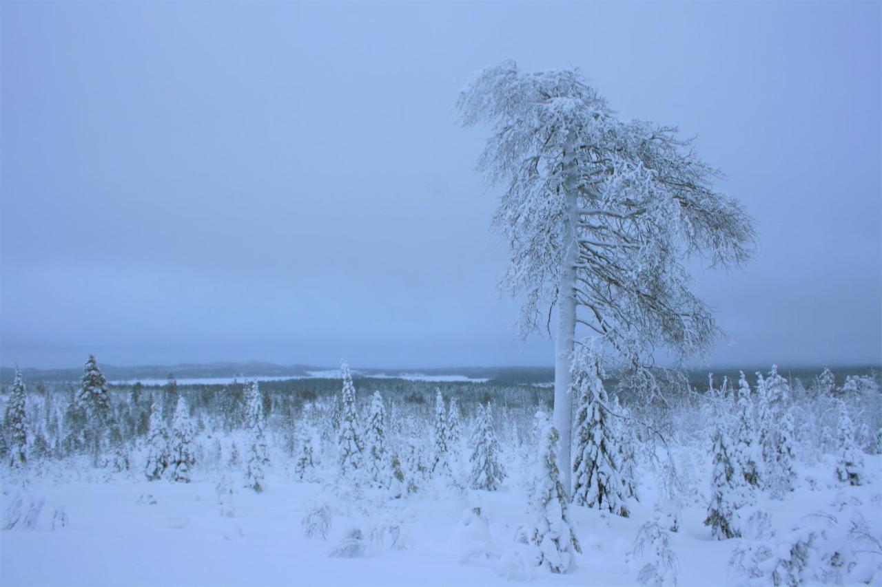 Kelokallas 2 Ruka Buitenkant foto