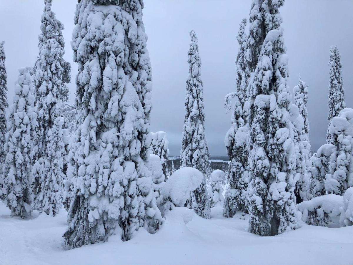 Kelokallas 2 Ruka Buitenkant foto