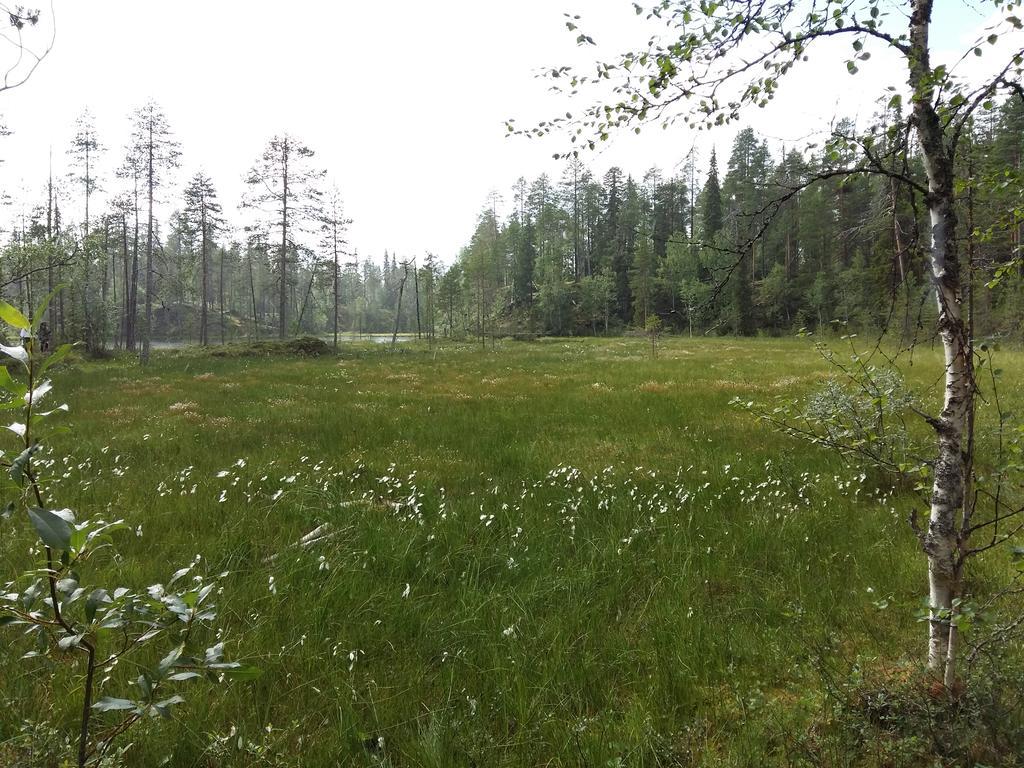 Kelokallas 2 Ruka Buitenkant foto